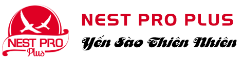 Yến Sào Thiên Nhiên Nest Pro Plus